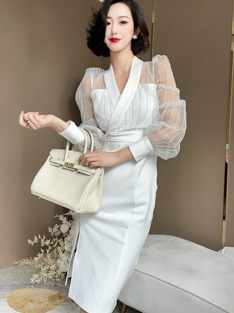 Women's French Slim Fitting Mesh Patchwork Dress