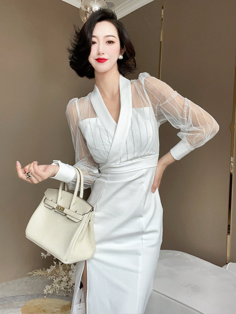 Women's French Slim Fitting Mesh Patchwork Dress